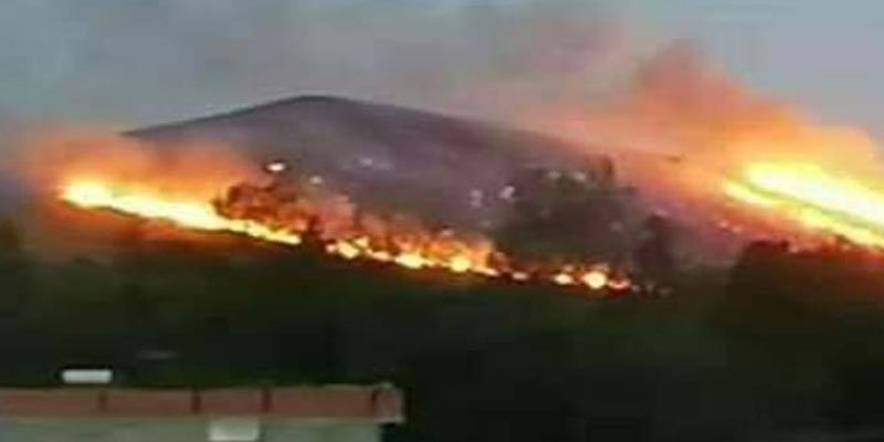 أريانة: النيران تلتهم جبل عمار